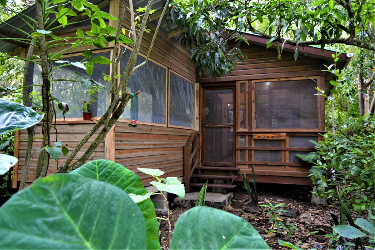 The timber exterior and screened veranda of Iguana Roost