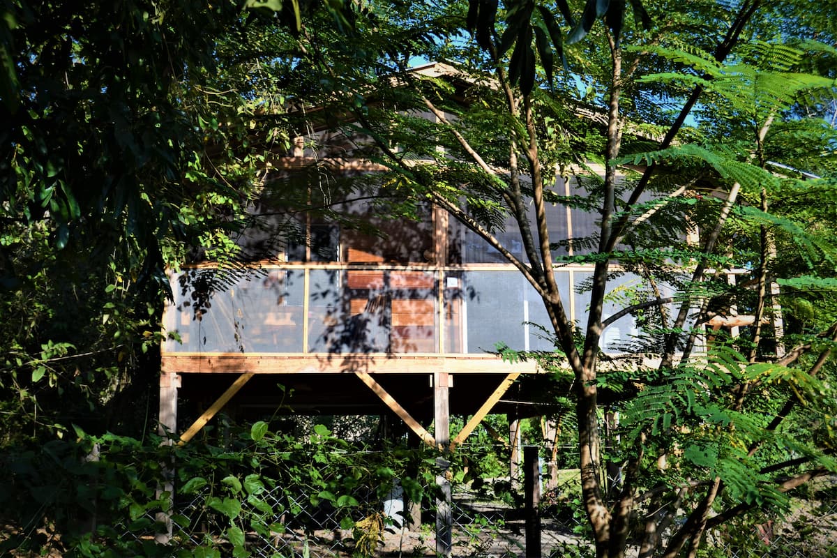 Nature’s Nest tucked into the leafy tropical canopy